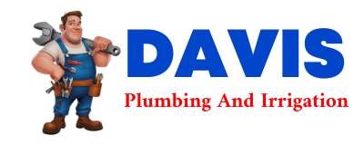 Trusted plumber in HINES